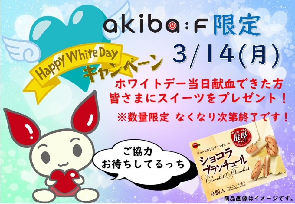 3月14日　akiba:F限定！　【ホワイトデーキャンペーン】